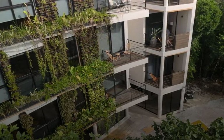 Condo Calme Tropical