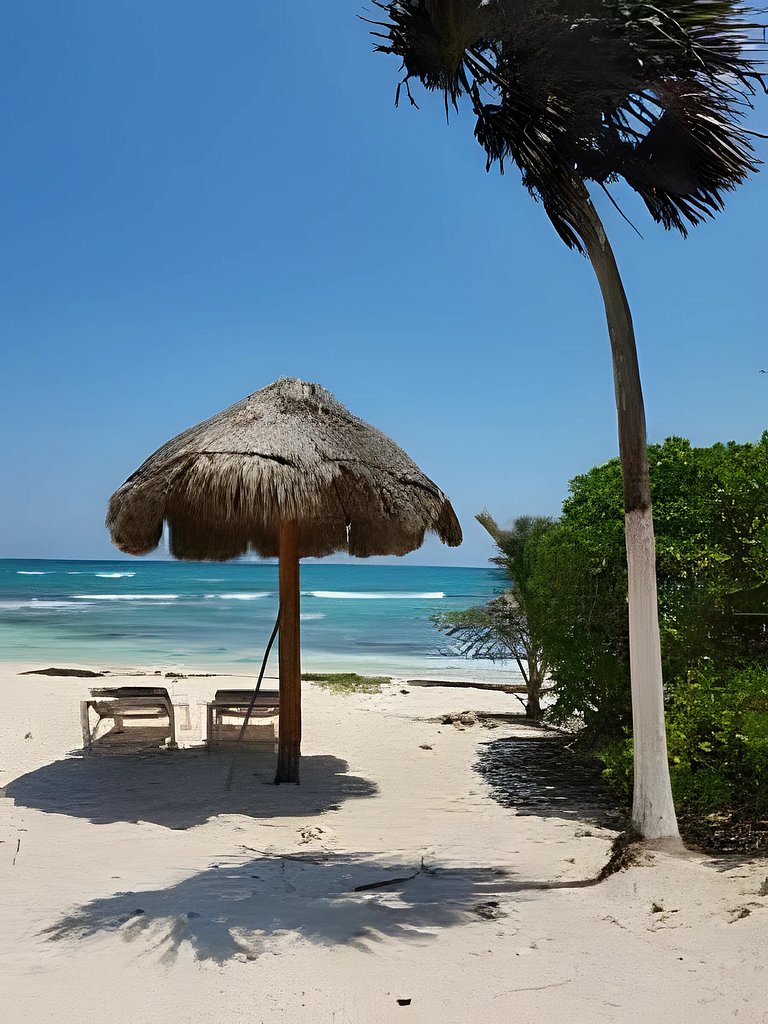 Beach walk Away 1 Bedroom Rooftop Pool & Jacuzzi